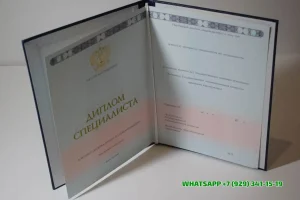 Купить диплом АГП РФ в Грозном — Академии Генеральной прокуратуры Российской Федерации